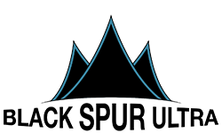blackspur_logo